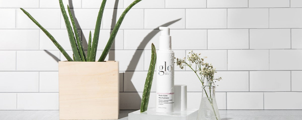 Aloe plant in wooden planter beside glo bottle labeled 'Phyto-Calm Aloe Hydrator' and small vase of white flowers
