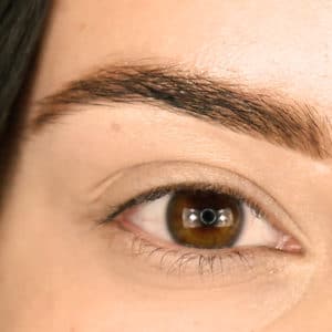 Brow after step 3 Brow Gel